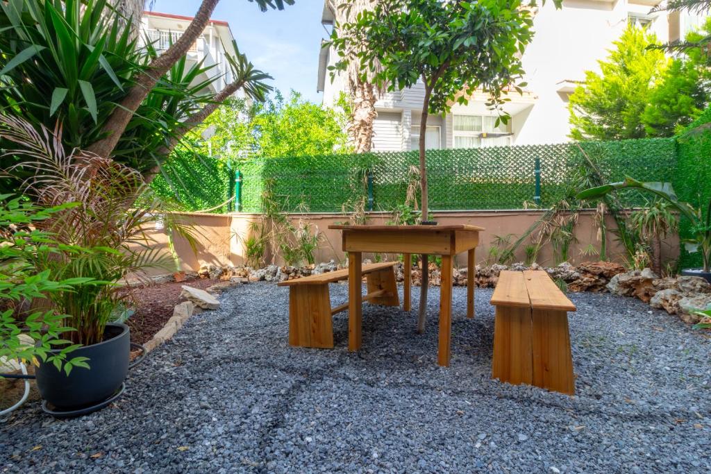 Alex Suites Lara - 11