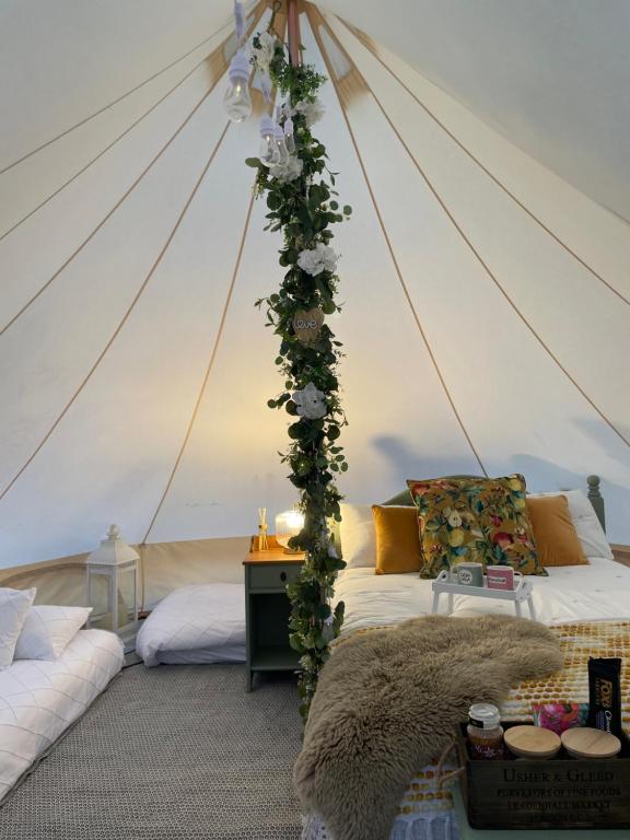 Top pen y parc farm bell tent في Halkyn: غرفة مع خيمة مع مجموعة من الزهور