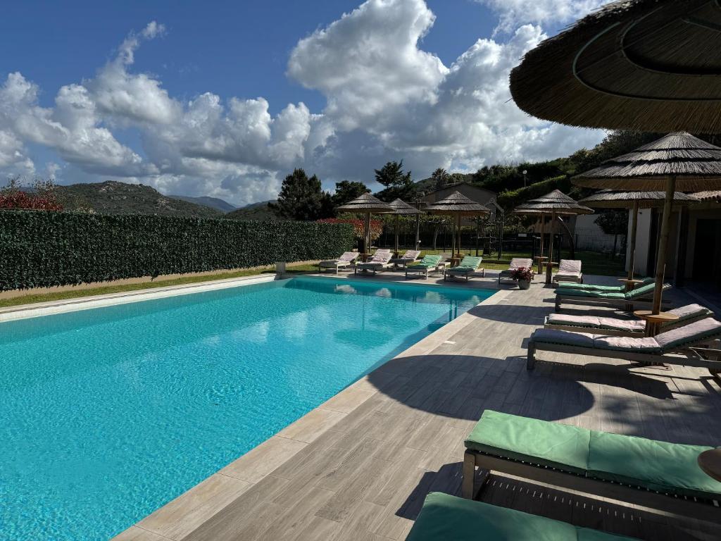 薩爾泰訥的住宿－Résidence de tourisme Les Hauts de l'Avena，一个带躺椅和遮阳伞的游泳池