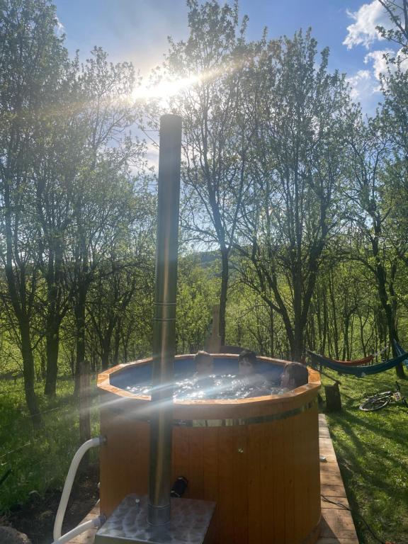 Příroda nedaleko venkovského domu