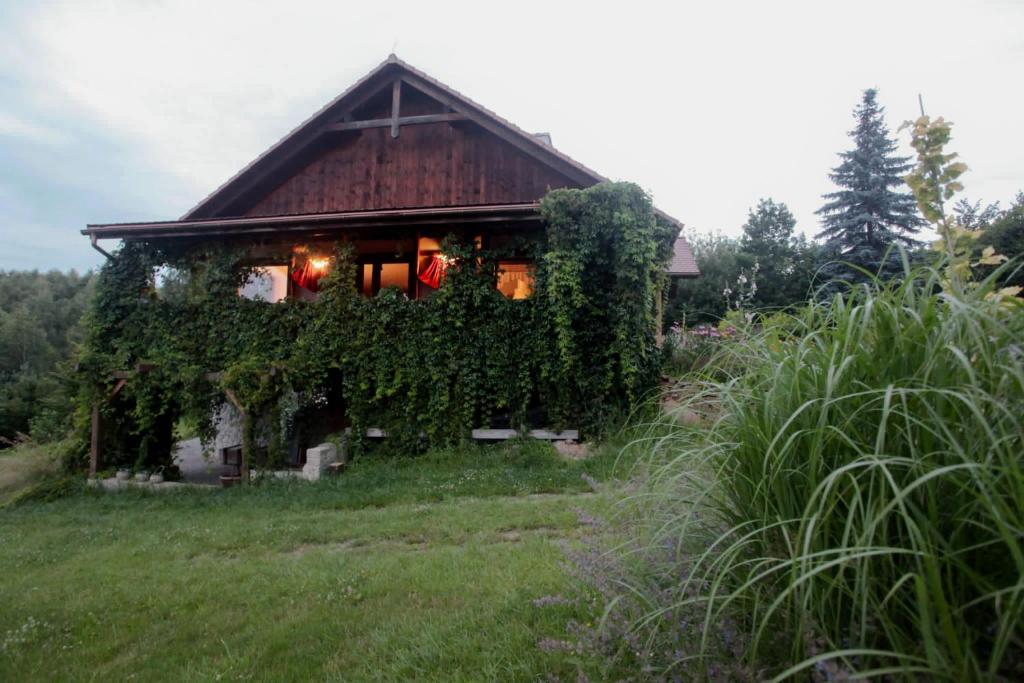 a house covered in ivy in a field at Zatrzymaj się u Nas - Apartament dla 2-4 osób, sauna, panorama, cisza in Pawłów
