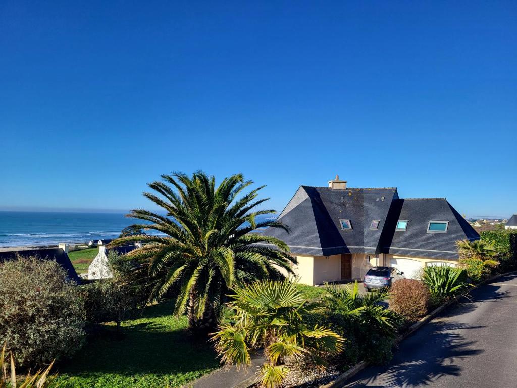 ein Haus mit einer Palme vor dem Meer in der Unterkunft 688-Villa de la Baie a 300m de la plage in Audierne