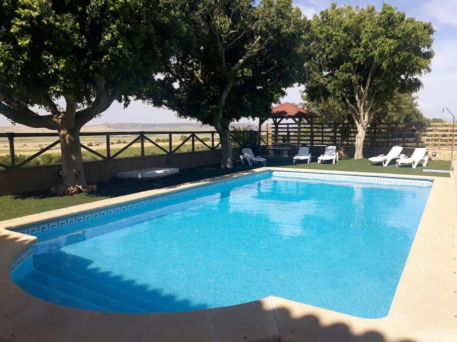 une grande piscine bleue avec des arbres et des chaises dans l'établissement Casa Rural El Almendrillo, à Arcos de la Frontera