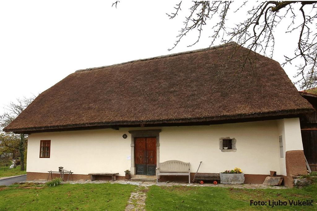 a large white house with a thatched roof at Dormouse House - Historic Countryside Retreat in Grahovo