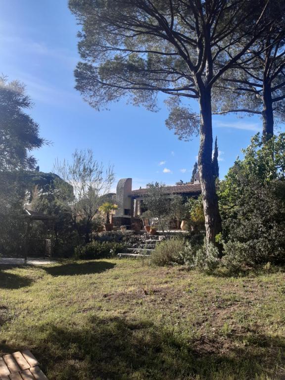 un arbre dans un champ avec un bâtiment en arrière-plan dans l'établissement Maison indépendante en pleine Nature, à Roquebrune-sur Argens