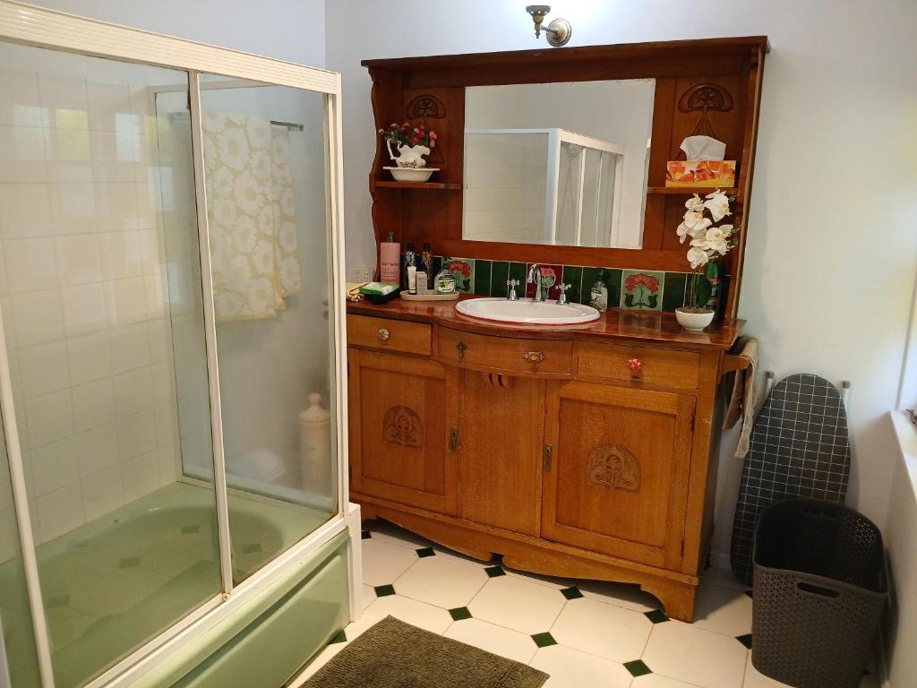 a bathroom with a sink and a shower and a mirror at Memory Lane Accommodation in Mount Tamborine