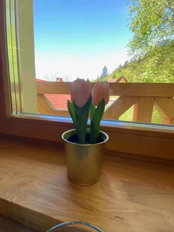 a pot of pink tulips sitting in front of a window at Pokoje u Daniela in Miedzygorze