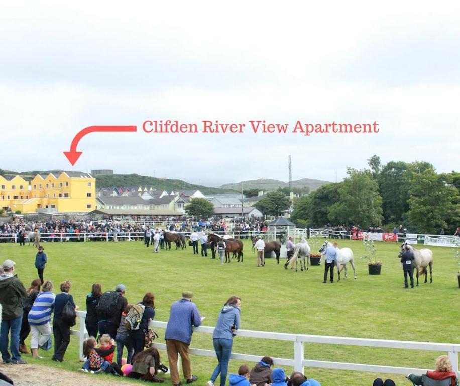 un grupo de personas viendo caballos en un campo en Clifden River View Apartment, en Clifden