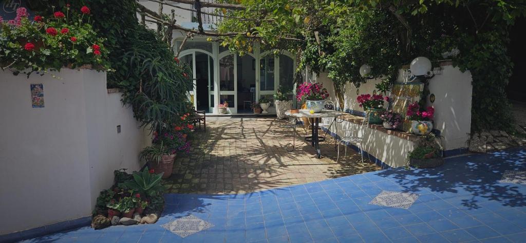 Piccolo Tirreno Hotel Residence في بروسيدا: ساحة بها زهور ونباتات في مبنى