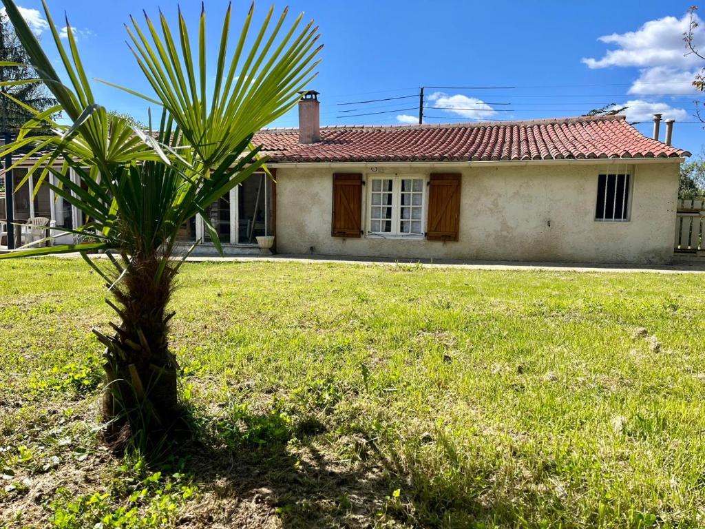 un palmier devant une maison dans l'établissement Maison 15 min plages, à Lairoux