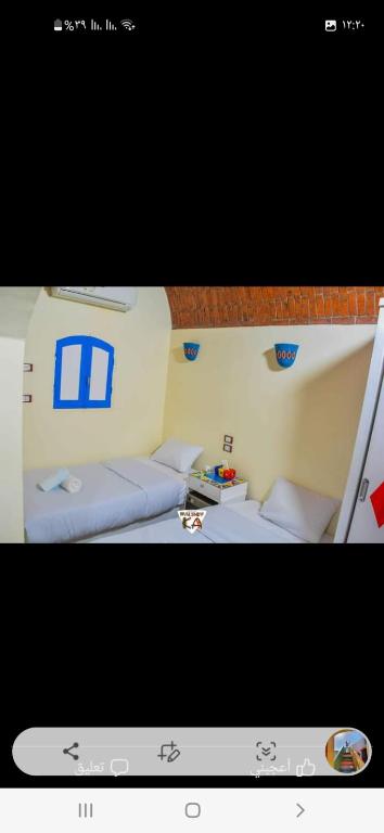 malindy KA nubian houseماليندى كا - 3