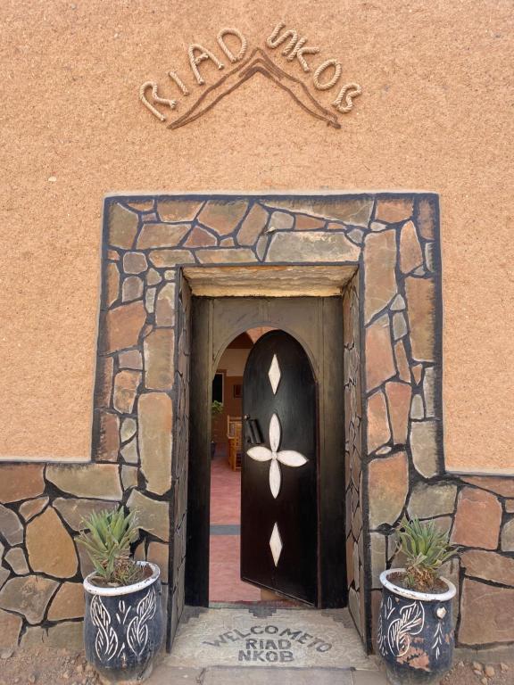 a door into a building with two potted plants at Riad Nkob in Nkob