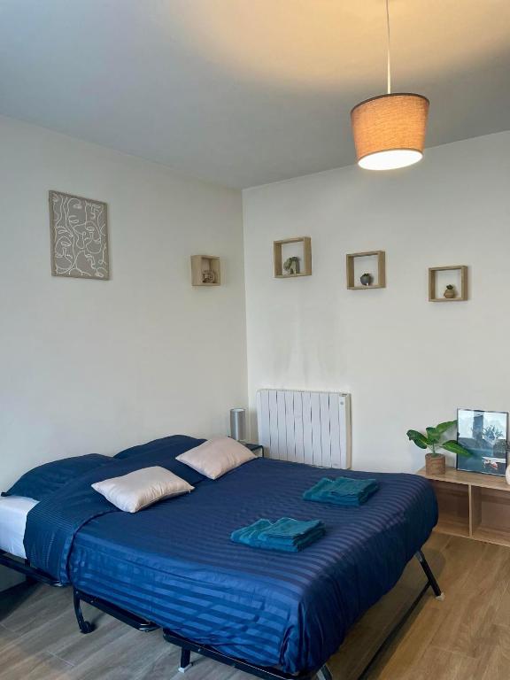 a bedroom with a bed with a blue blanket at Appartement cosy proche gare Angers in Angers