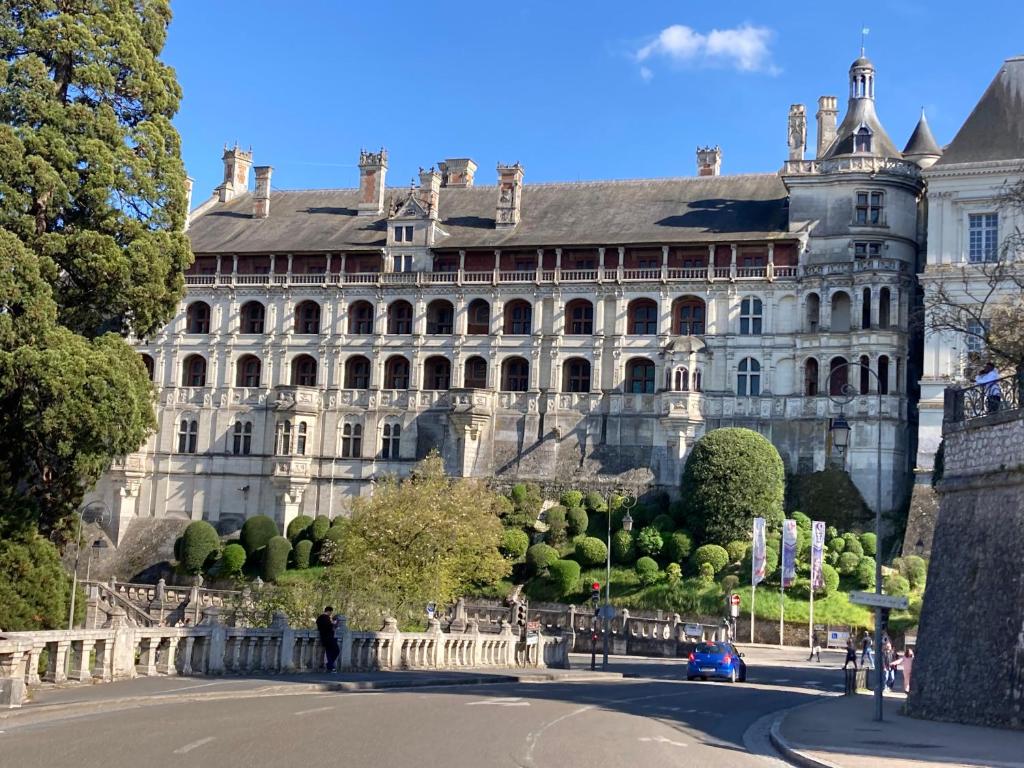 un grand bâtiment en pierre avec des arbres devant lui dans l'établissement La Loire et ses châteaux avec vos proches, à Blois