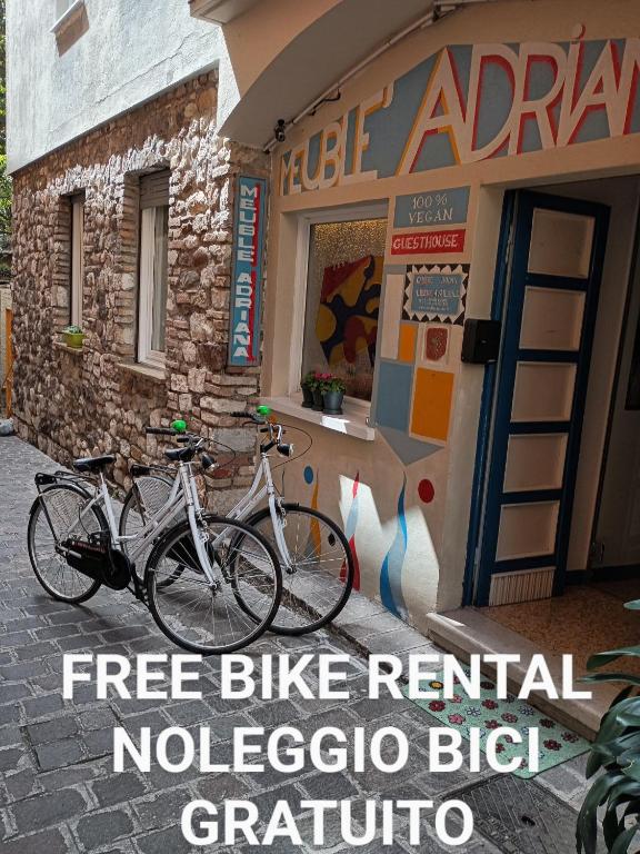 Vegan B&B Meublè Adriana Sirmione - 12