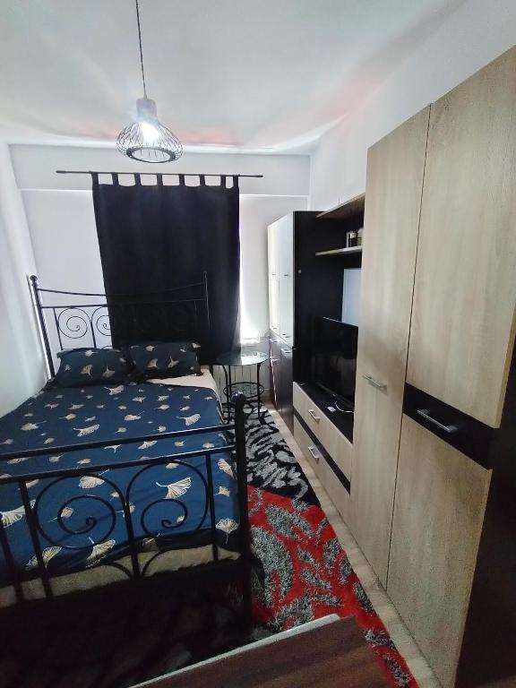 TV a/nebo společenská místnost v ubytování Romana Mureș Home