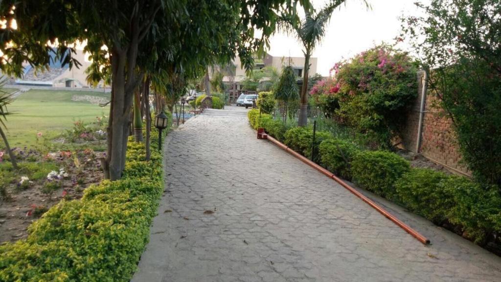 a cobblestone street with trees on the side of it at Akkas Farm House in Faisalabad