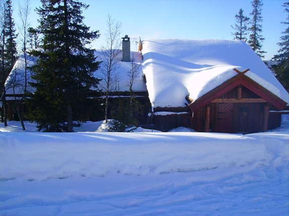 Bekkeli; Mountain cabin, amazing view - ski in - ski out, golf, hike, bike,, fishing, during the winter