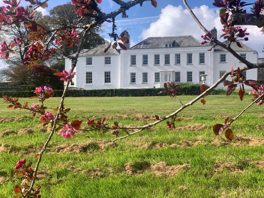 a white house with pink flowers in the foreground at Trewardale in Bodmin