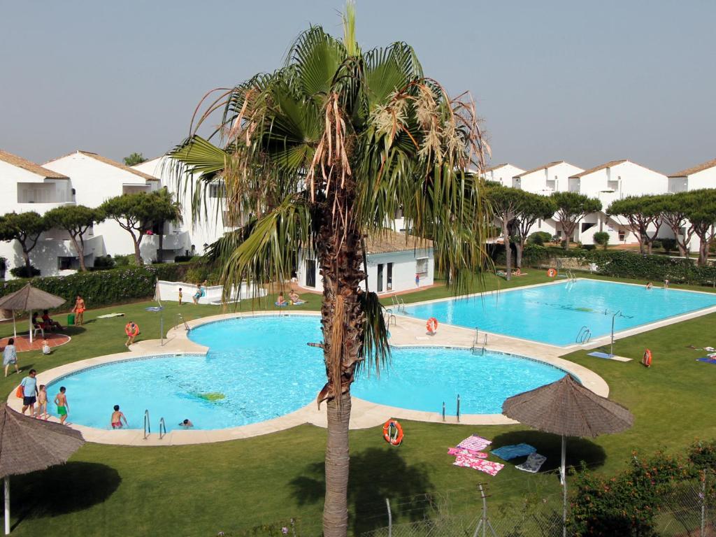 a palm tree next to a large swimming pool at Reliquia 3 in Novo Sancti Petri