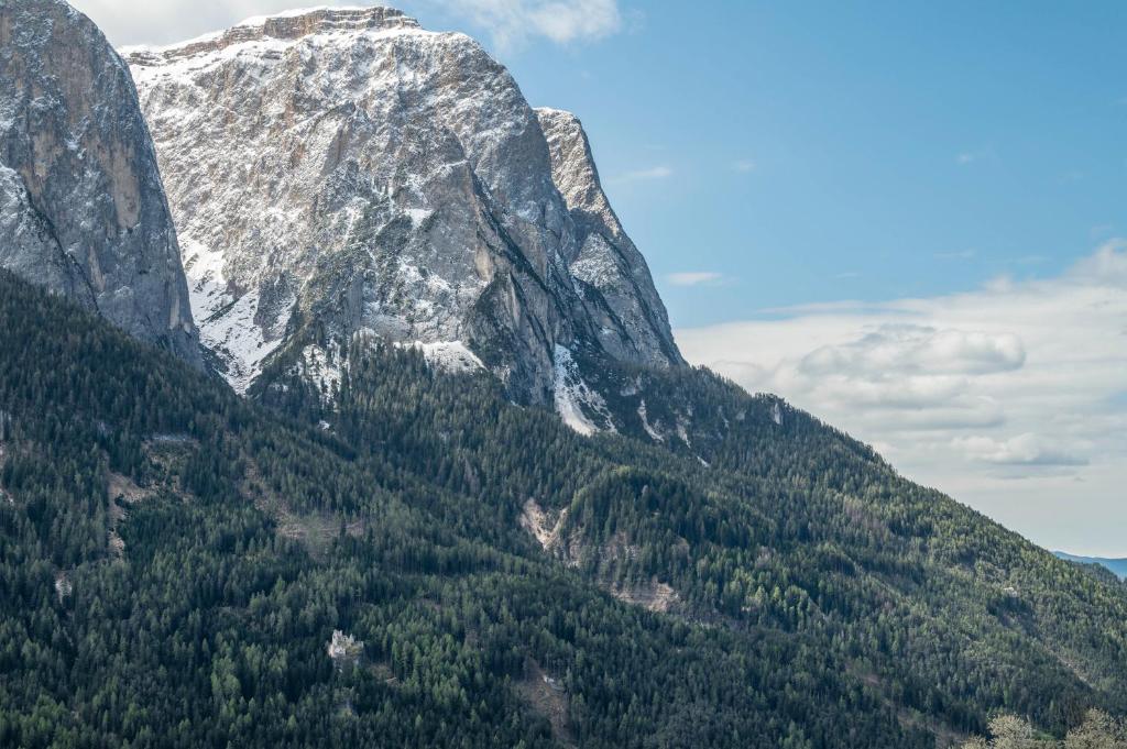 a mountain with trees in front of it at Ronsolhof Hauenstein in Siusi