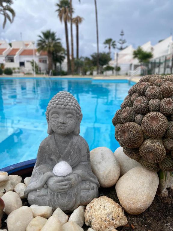 阿德耶The Best House Tenerife Habitaciones Compartidas的坐在游泳池旁的佛陀雕像