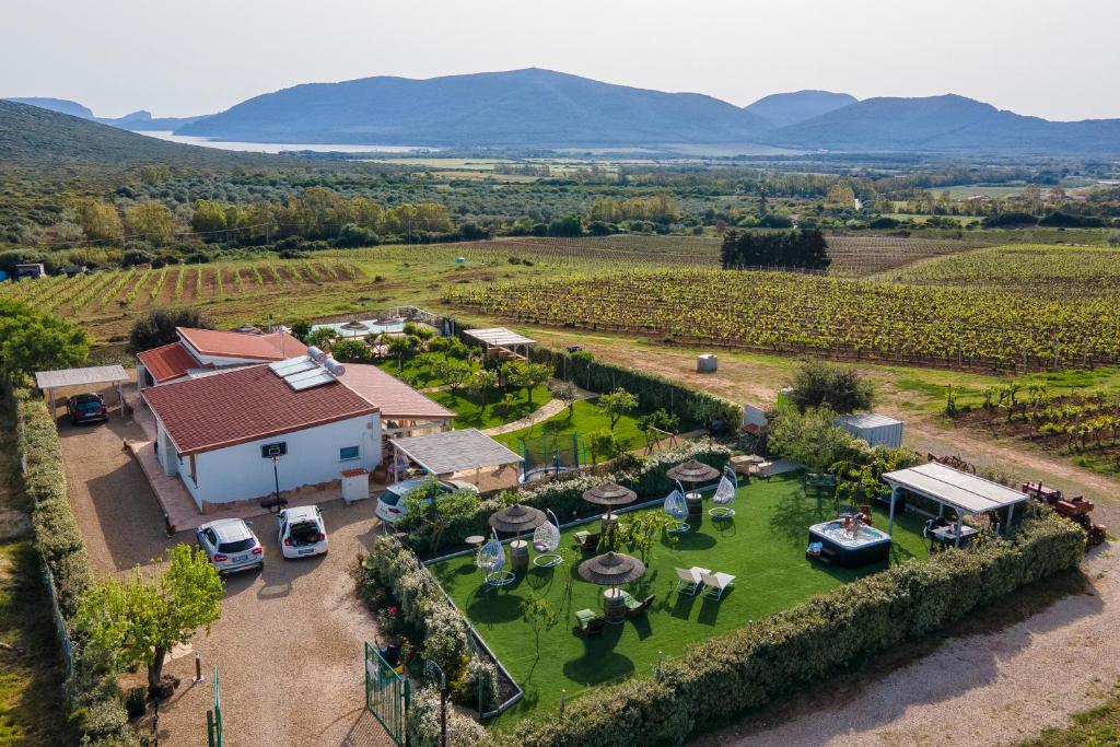 una vista aérea de una finca con un viñedo en Residenza alla Collina & Romantic SPA en Porto Conte