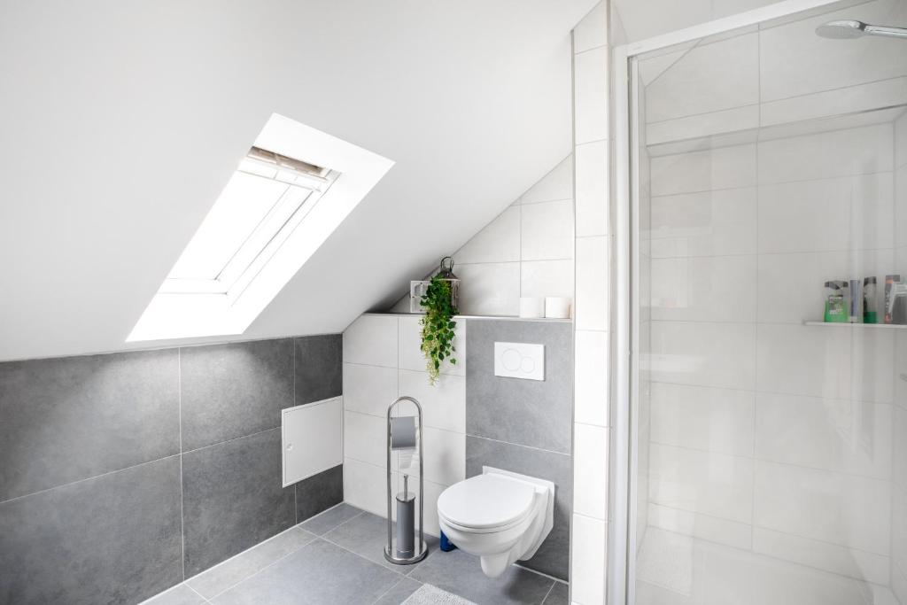 a bathroom with a toilet and a walk in shower at Ferienwohnung Wäller Fernblick in Westerburg