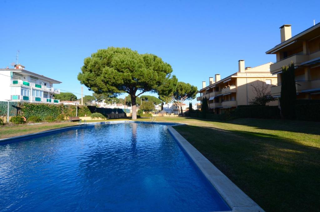 a blue swimming pool in a yard with a tree at Riells Blau C302 in L'Escala