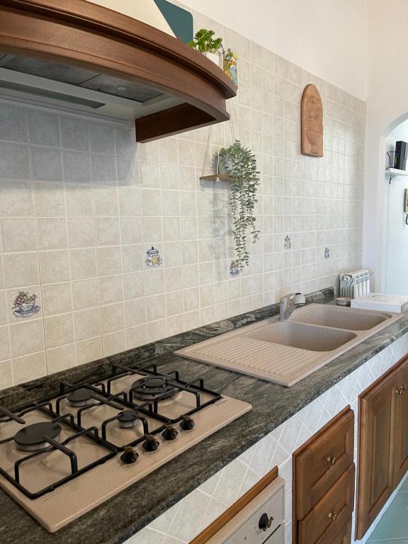 A kitchen or kitchenette at Seaview apartments