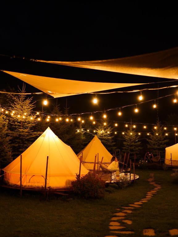 Fotografie z fotogalerie ubytování Valea Doftanei Glamping v destinaci Teşila