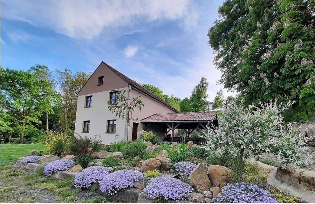 una casa con un giardino con fiori viola di fronte di Chloumek a Bělá