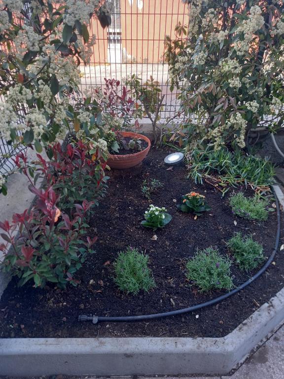 Zahrada ubytování LA CASA DI PICCOLI' di Gabriele Martelli e Catia Pacetti - Camera APE
