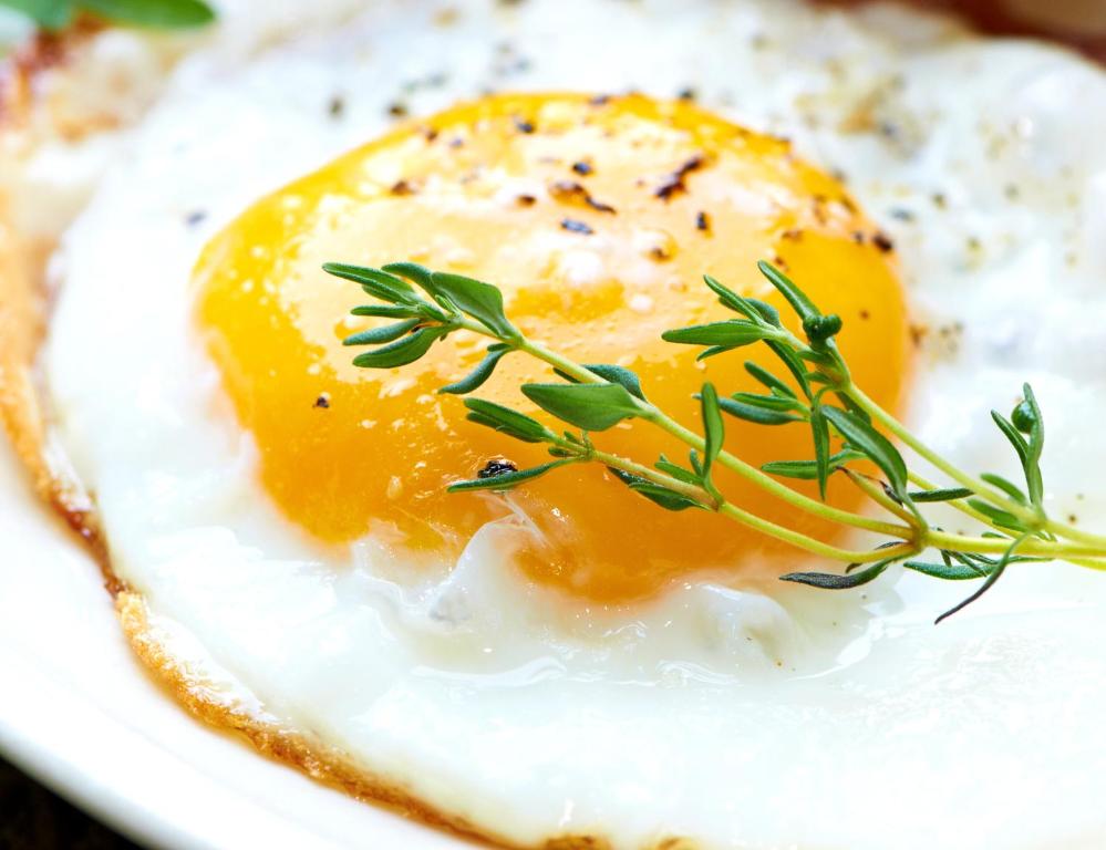 Hotel Münkel - Resim 22