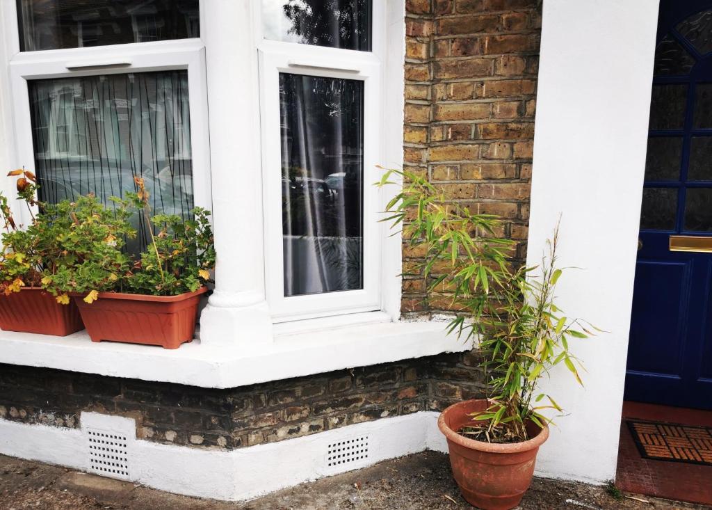 two windows with potted plants on the side of a house at 1-Bed victorian gf Apartment in London in London