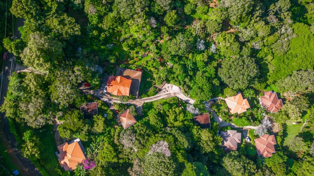 an overhead view of a house in a forest at Coffee Estate Inn in Boquete