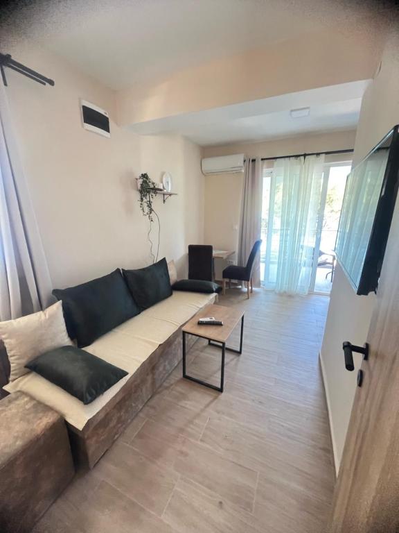 Apartmani Danilovic - 一居室公寓