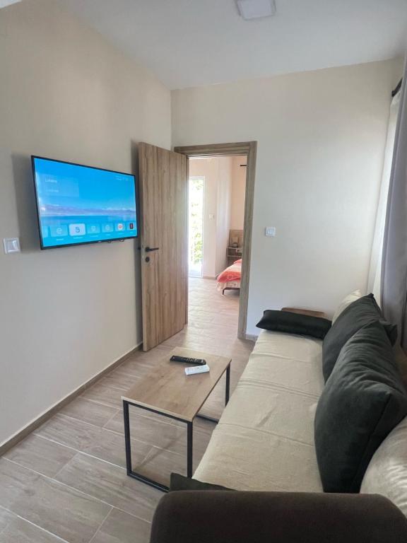 Apartmani Danilovic - 一居室公寓