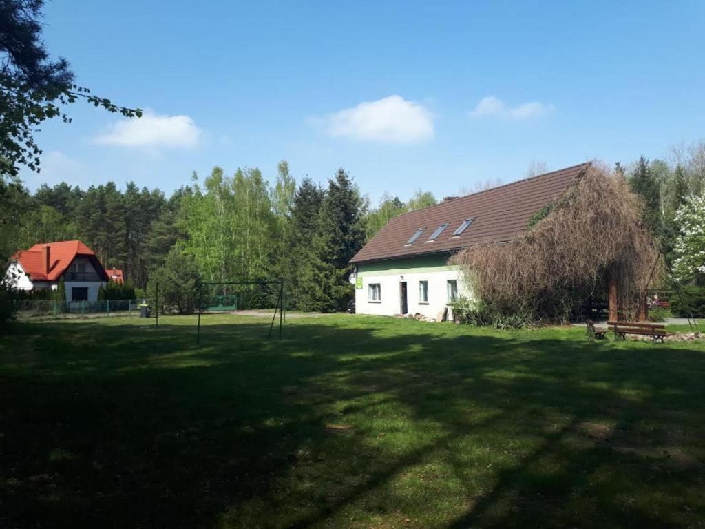 Spacious yard with two houses surrounded by trees.