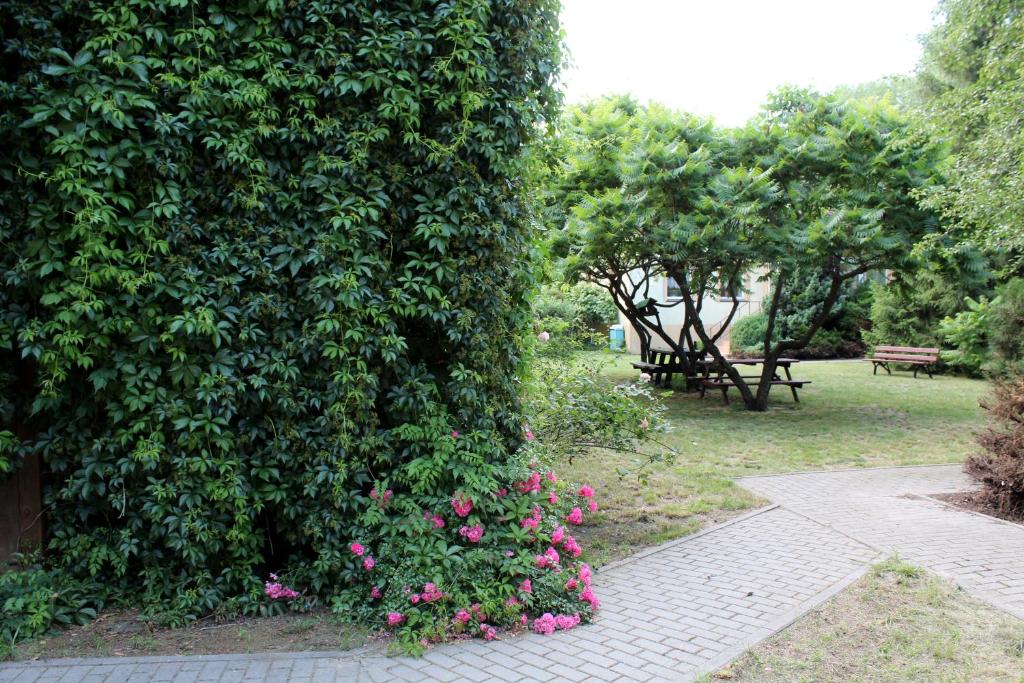 Lush garden with picnic tables and vibrant greenery.