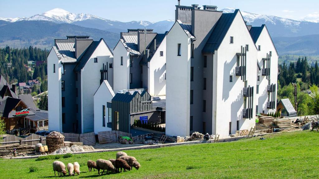 a group of sheep grazing in a field in front of buildings at ШПИЦІ Hotel & SPA in Bukovel