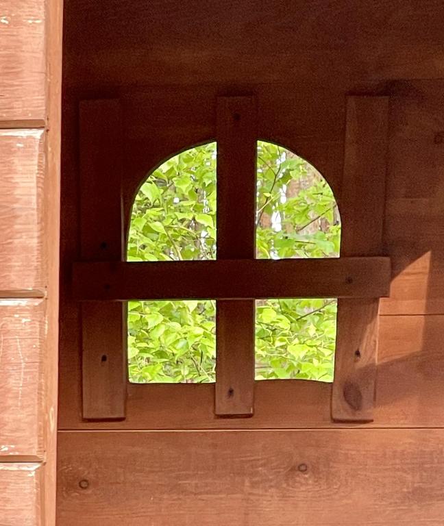 Wooden window frame with view of green leaves outside.