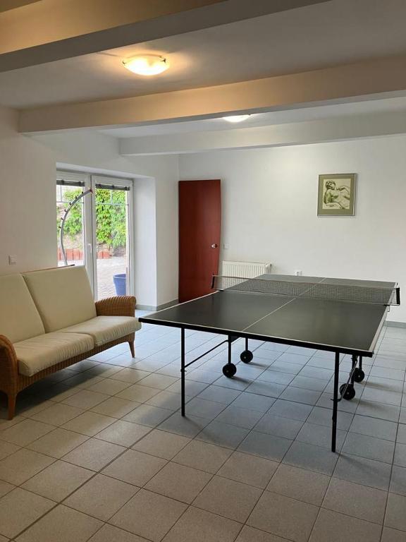 Attrezzature per ping pong presso Vila pri kúpeľoch o nelle vicinanze