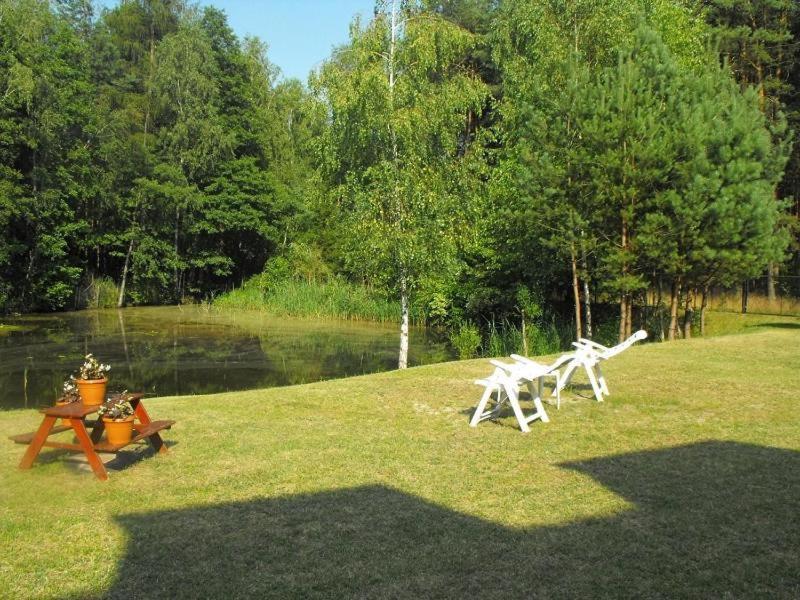 Lawn with white chairs near a pond, surrounded by trees and plants.