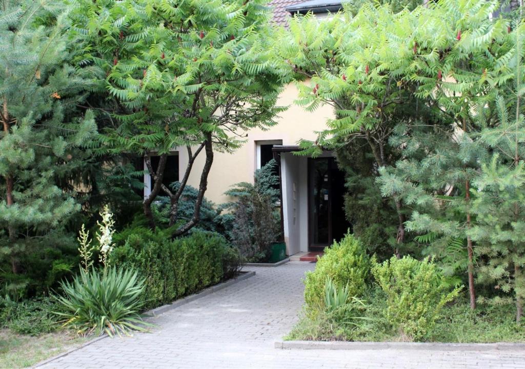Pathway leading to a building entrance surrounded by lush greenery.