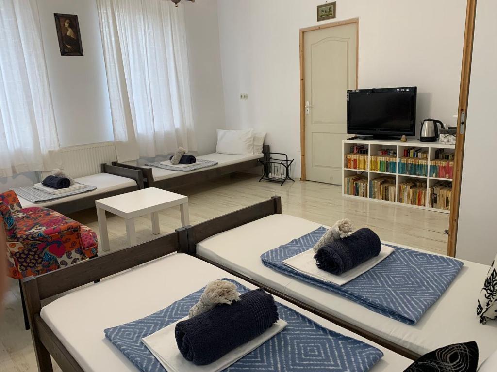 TV a/nebo společenská místnost v ubytování Casa Trandafirilor