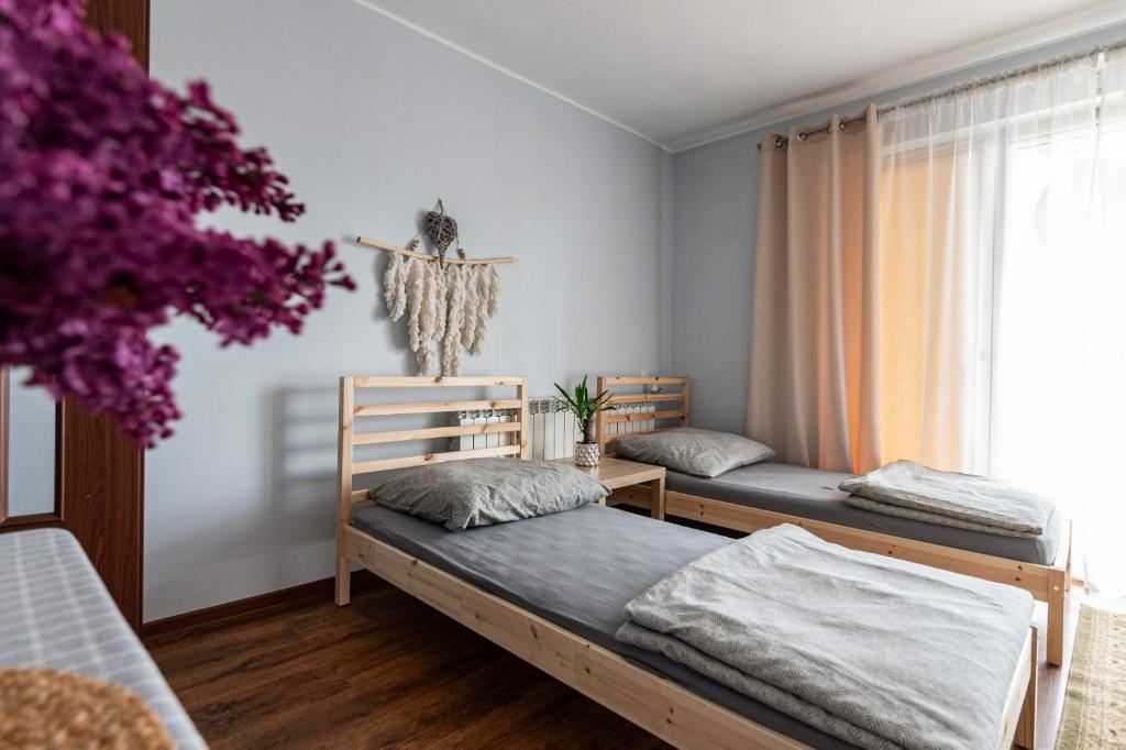 Noclegi u Eweliny - 12