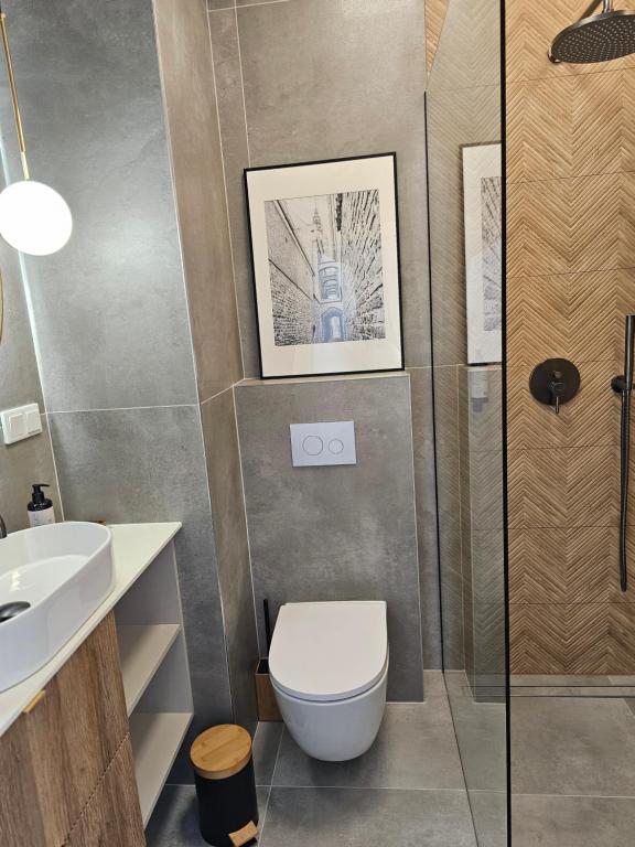 Apartamenty Piekarczyk - OLD TOWN Elbląg - No Air Conditioning - 1