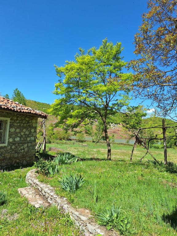 Zahrada ubytování Revita Stone House