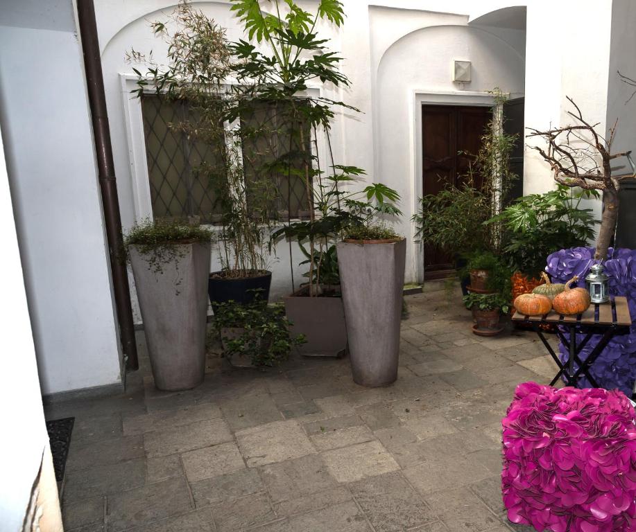 Zahrada ubytování In pieno centro storico Ca Marì e Casa Elena